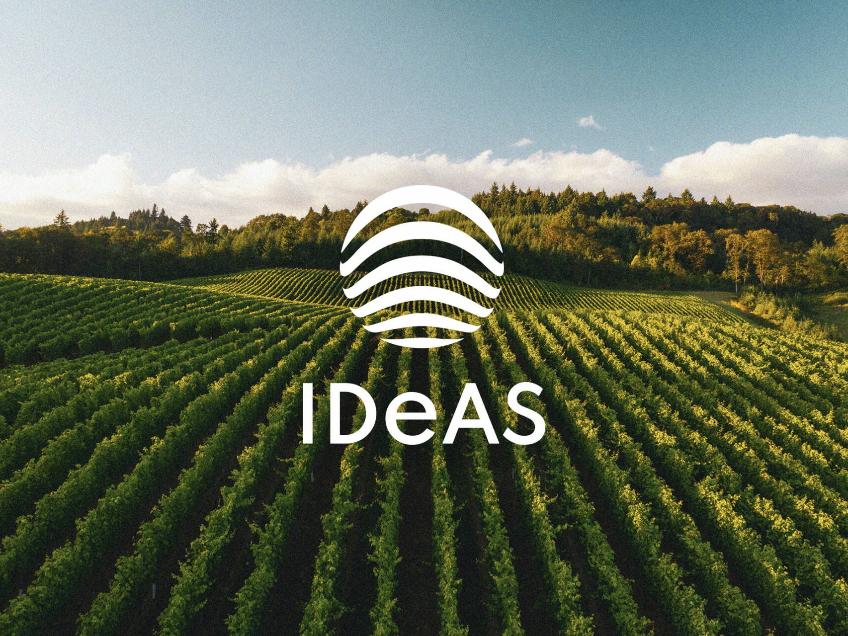 Das IDeAS Markenzeichen in weiß mit Weinbergen im Hintergrund.
